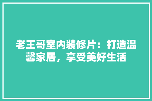 老王哥室内装修片：打造温馨家居，享受美好生活 室内设计