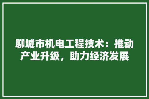 聊城市机电工程技术：推动产业升级，助力经济发展