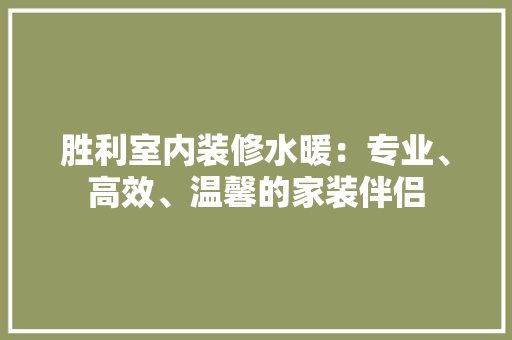胜利室内装修水暖：专业、高效、温馨的家装伴侣