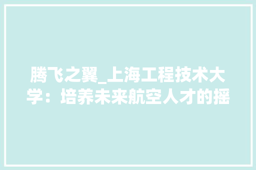腾飞之翼_上海工程技术大学:培养未来航空人才的摇篮 室内设计 腾飞之翼_上海工程技术大学:培养未来航空人才的摇篮 室内设计