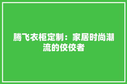 腾飞衣柜定制：家居时尚潮流的佼佼者 室内设计