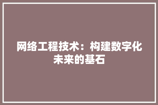 网络工程技术：构建数字化未来的基石 室内设计