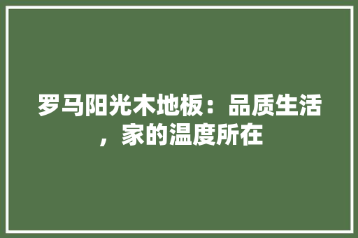 罗马阳光木地板：品质生活，家的温度所在 室内设计