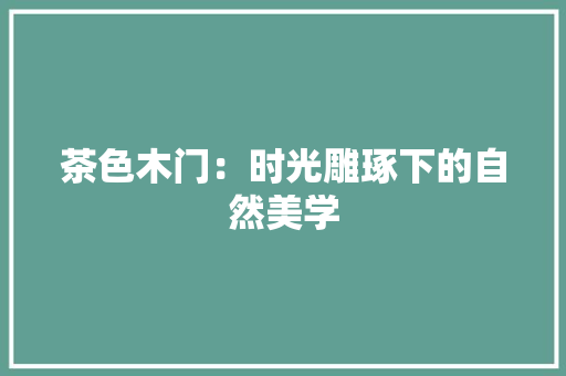 茶色木门：时光雕琢下的自然美学 室内设计