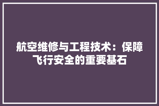 航空维修与工程技术：保障飞行安全的重要基石 室内设计