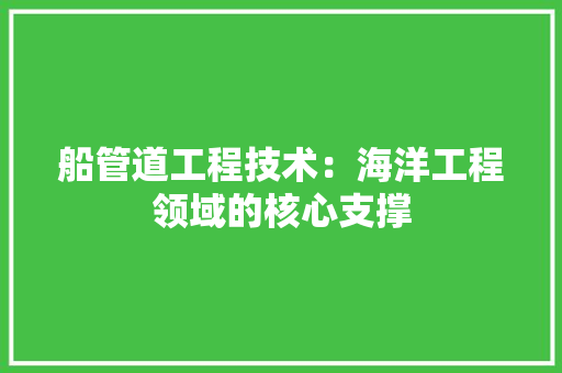 船管道工程技术：海洋工程领域的核心支撑