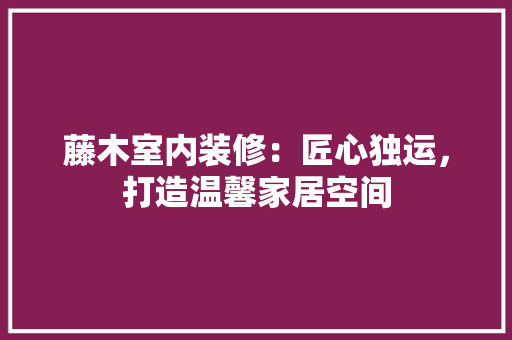 藤木室内装修：匠心独运，打造温馨家居空间 室内设计