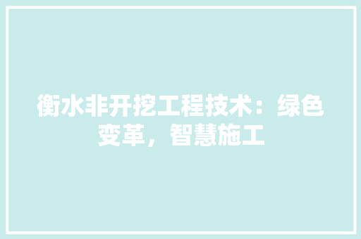 衡水非开挖工程技术：绿色变革，智慧施工