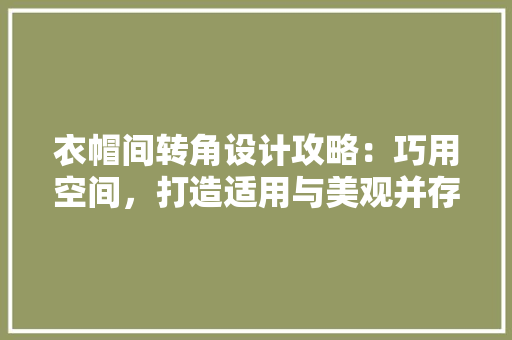 衣帽间转角设计攻略：巧用空间，打造适用与美观并存的角落