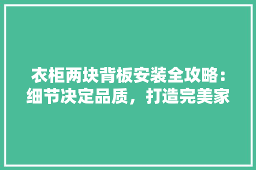 衣柜两块背板安装全攻略：细节决定品质，打造完美家居空间 室内设计