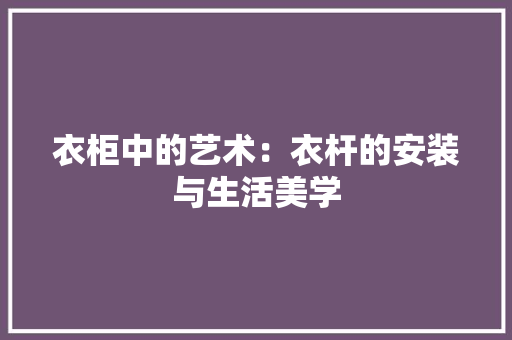 衣柜中的艺术：衣杆的安装与生活美学 室内设计
