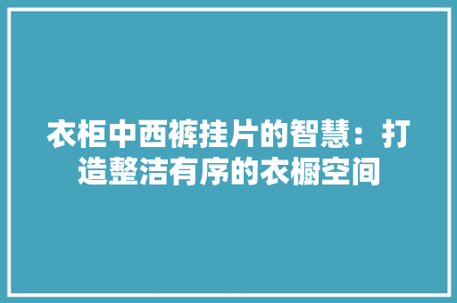 衣柜中西裤挂片的智慧：打造整洁有序的衣橱空间 室内设计
