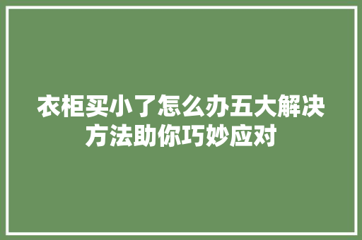 衣柜买小了怎么办五大解决方法助你巧妙应对 室内设计