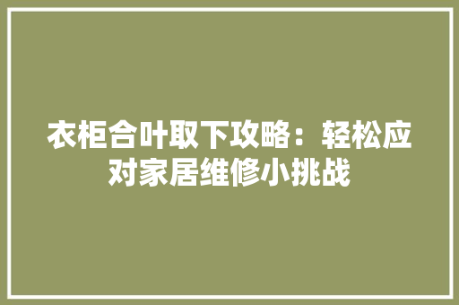 衣柜合叶取下攻略：轻松应对家居维修小挑战 室内设计