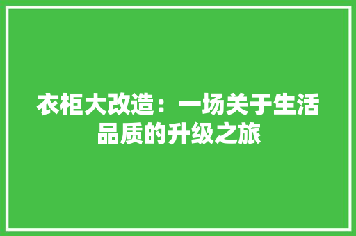 衣柜大改造：一场关于生活品质的升级之旅 室内设计