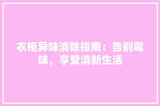 衣柜异味清除指南：告别霉味，享受清新生活 室内设计