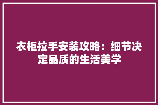 衣柜拉手安装攻略：细节决定品质的生活美学 室内设计