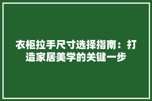 衣柜拉手尺寸选择指南：打造家居美学的关键一步 室内设计