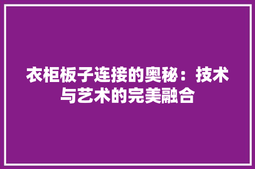 衣柜板子连接的奥秘：技术与艺术的完美融合 室内设计