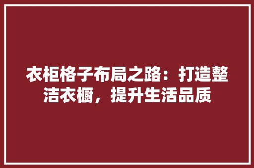 衣柜格子布局之路：打造整洁衣橱，提升生活品质 室内设计