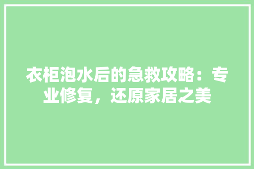 衣柜泡水后的急救攻略：专业修复，还原家居之美 室内设计