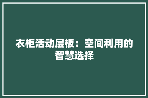 衣柜活动层板：空间利用的智慧选择 室内设计
