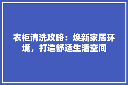衣柜清洗攻略：焕新家居环境，打造舒适生活空间 室内设计