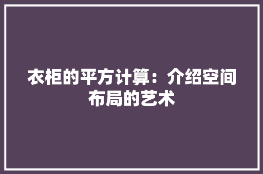 衣柜的平方计算：介绍空间布局的艺术 室内设计