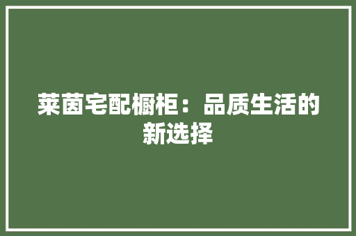 莱茵宅配橱柜：品质生活的新选择 室内设计