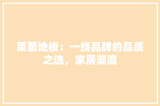 莱茵地板：一线品牌的品质之选，家居潮流