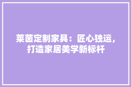 莱茵定制家具：匠心独运，打造家居美学新标杆 室内设计