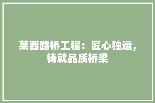 莱西路桥工程：匠心独运，铸就品质桥梁