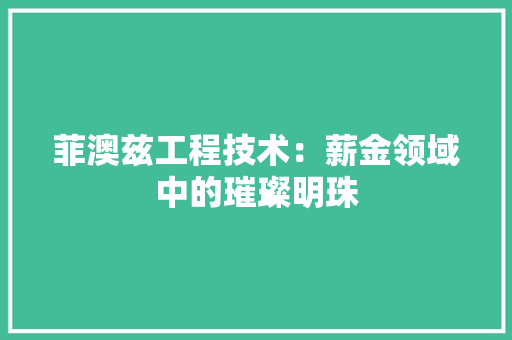 菲澳兹工程技术：薪金领域中的璀璨明珠 室内设计