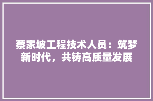 蔡家坡工程技术人员：筑梦新时代，共铸高质量发展