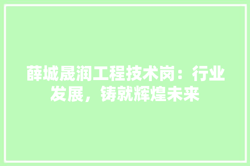 薛城晟润工程技术岗：行业发展，铸就辉煌未来 室内设计