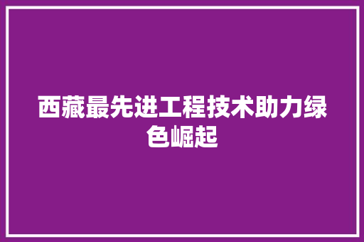西藏最先进工程技术助力绿色崛起