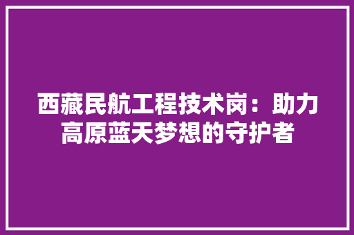 西藏民航工程技术岗：助力高原蓝天梦想的守护者 室内设计