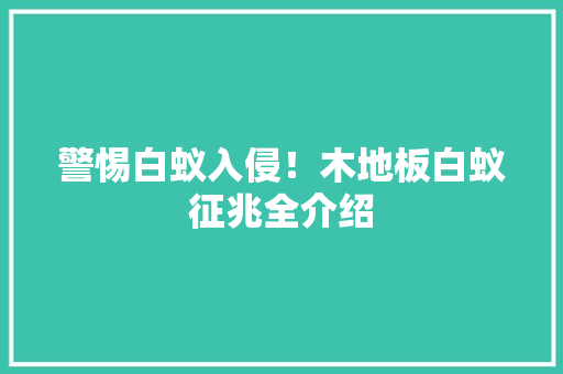 警惕白蚁入侵！木地板白蚁征兆全介绍 室内设计