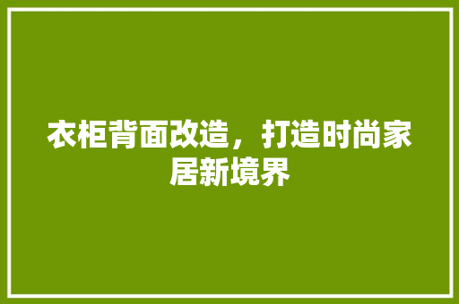 衣柜背面改造，打造时尚家居新境界 室内设计