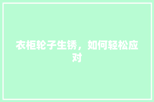 衣柜轮子生锈，如何轻松应对 室内设计