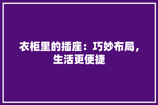 衣柜里的插座：巧妙布局，生活更便捷 室内设计