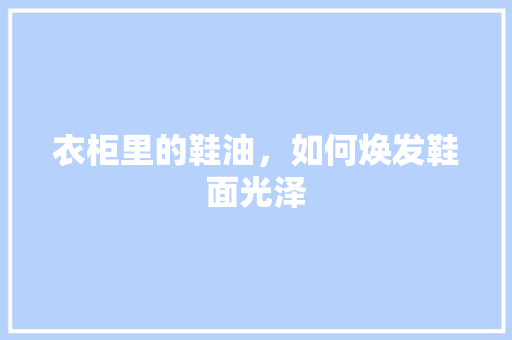 衣柜里的鞋油，如何焕发鞋面光泽