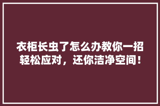 衣柜长虫了怎么办教你一招轻松应对，还你洁净空间！ 室内设计