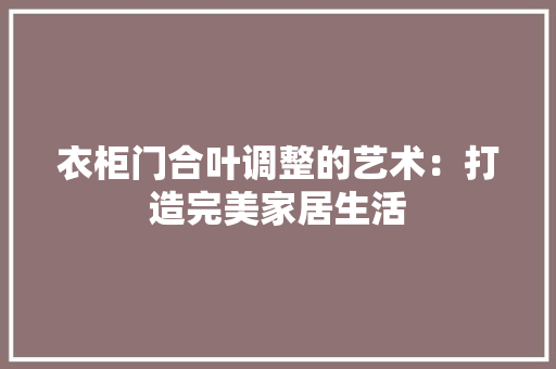 衣柜门合叶调整的艺术：打造完美家居生活 室内设计