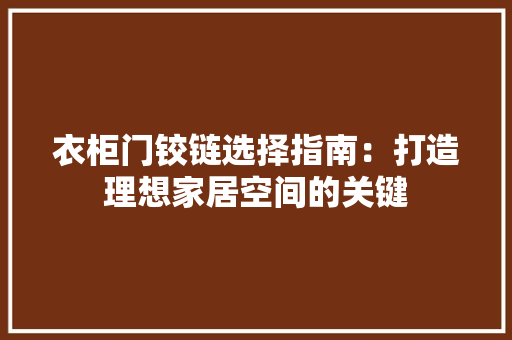 衣柜门铰链选择指南：打造理想家居空间的关键 室内设计