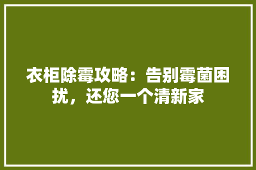 衣柜除霉攻略：告别霉菌困扰，还您一个清新家 室内设计
