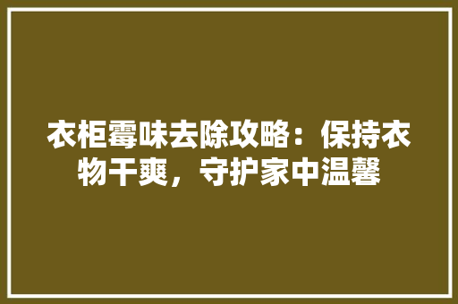 衣柜霉味去除攻略：保持衣物干爽，守护家中温馨