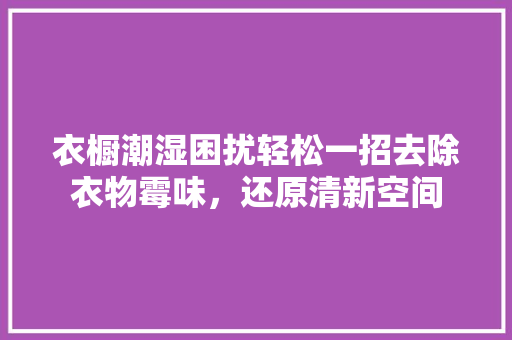 衣橱潮湿困扰轻松一招去除衣物霉味，还原清新空间 室内设计