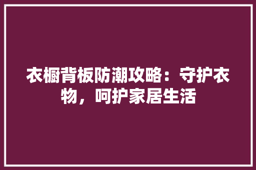 衣橱背板防潮攻略：守护衣物，呵护家居生活 室内设计
