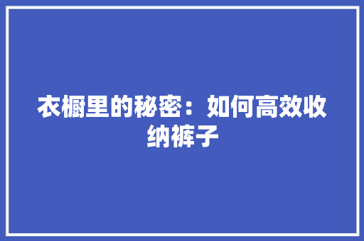 衣橱里的秘密：如何高效收纳裤子 室内设计